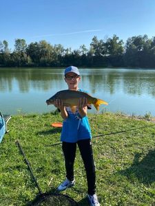 Mirror Carp