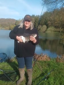 Rainbow Trout