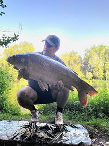 Mirror Carp
