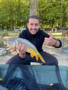 Mirror Carp