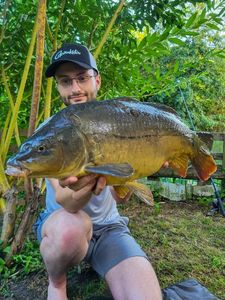 Mirror Carp