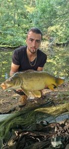 Mirror Carp