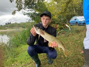 Northern Pike