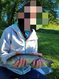 Rainbow Trout