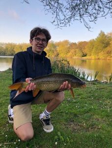 Common Carp