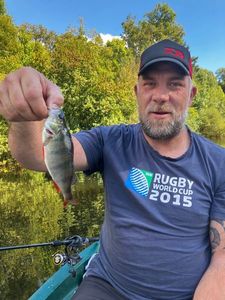 European Perch