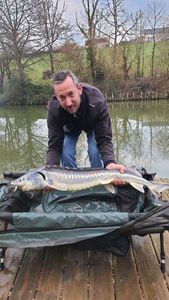 Sturgeon