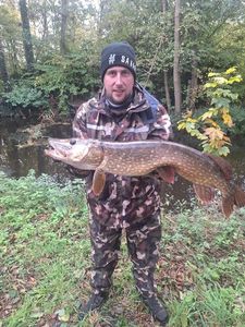 Northern Pike