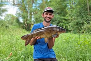 Common Carp