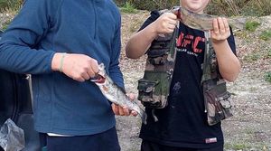 Rainbow Trout