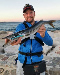 Great Barracuda