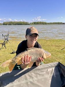 Mirror Carp