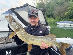 Northern Pike