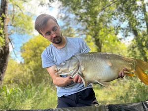 Mirror Carp