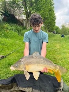 Mirror Carp