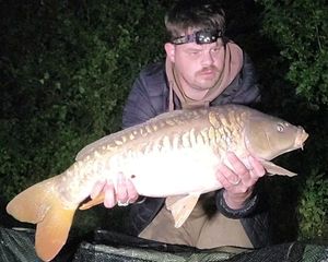 Mirror Carp
