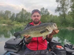 Smallmouth Bass