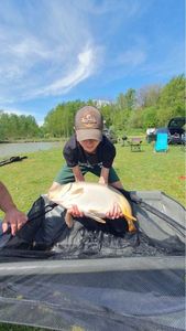 Mirror Carp