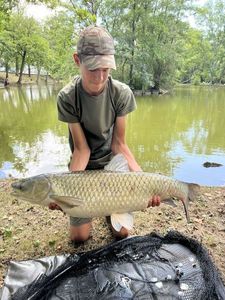 Grass Carp