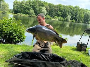 Mirror Carp