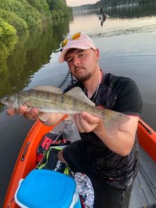 Zander