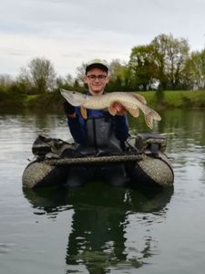 Northern Pike