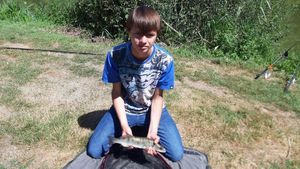 Zander
