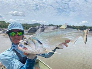 Payara