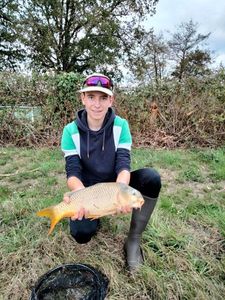 Common Carp