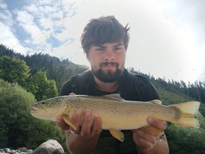Marble Trout