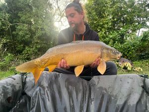 Mirror Carp