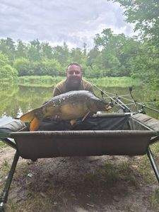 Mirror Carp