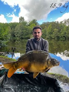 Mirror Carp