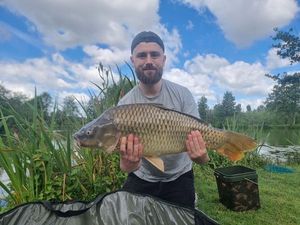 Common Carp