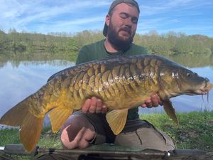 Mirror Carp
