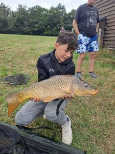Common Carp