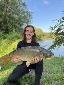 Mirror Carp