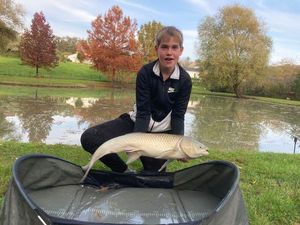 Grass Carp