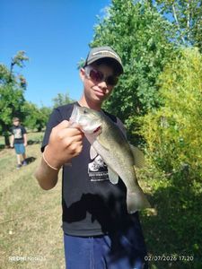 Largemouth Bass