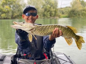Northern Pike