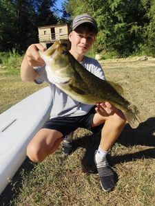 Largemouth Bass