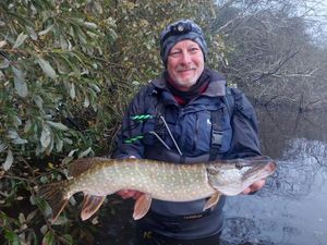 Northern Pike