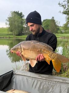 Mirror Carp