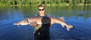 Sturgeon