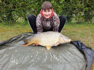 Common Carp