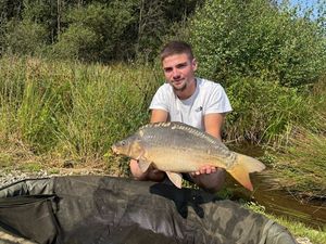 Mirror Carp