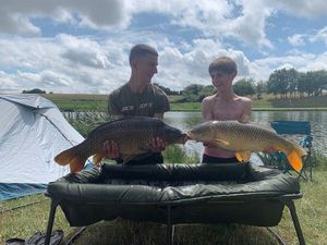 Common Carp