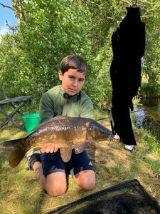 Mirror Carp