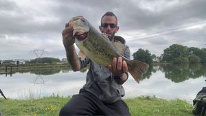 Largemouth Bass