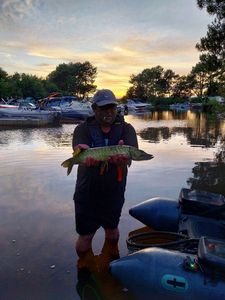 Northern Pike